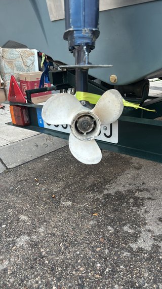 Barco de pesca recreo con remolque