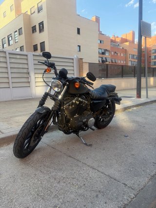Harley Davidson Iron 883 verde