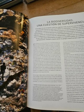 6 libros de gran formato Arte Fotografía Historia.
