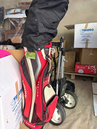 Carro y Palos de Golf