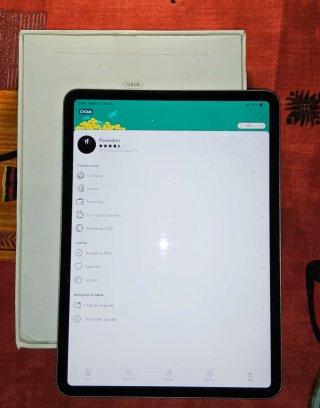 iPad Pro 11 M2 4ª Gen 2022 Plata