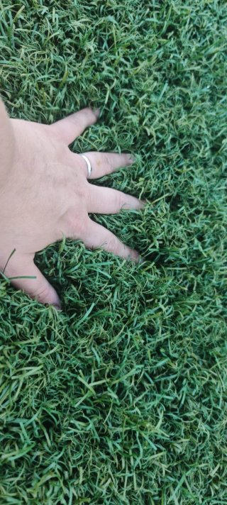 Césped Artificial Verde