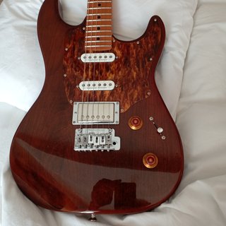 Godin Session T-Pro Ltd Kanyon Burst  Stratocaster