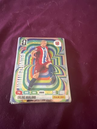 Carta Erling Haaland Edición Limitada Panini