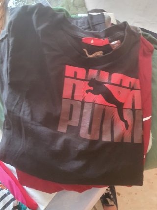 Lote 20 Camisetas Talla L Varias Marcas