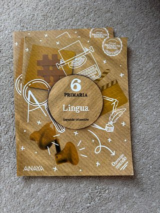 Libros 6 primaria Anaya
