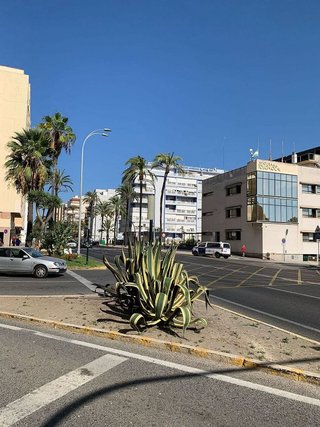 Local comercial en alquiler en Playa Stª Mª del Mar - Playa Victoria en Cádiz
