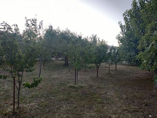 Terreno en venta en Arenas de San Pedro