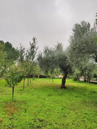 Terreno en venta en Arenas de San Pedro