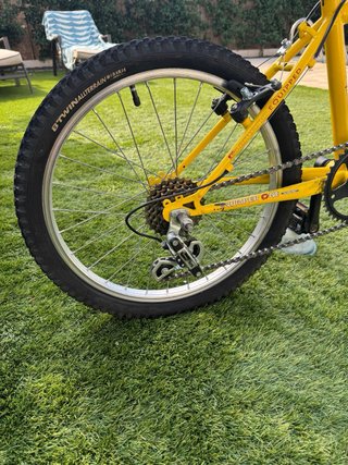 Bicicleta infantil 20 amarilla