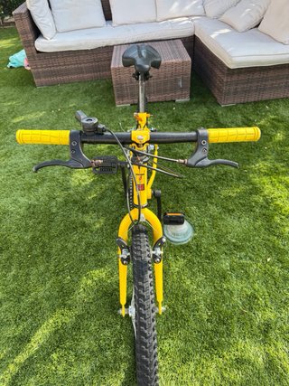 Bicicleta infantil 20 amarilla