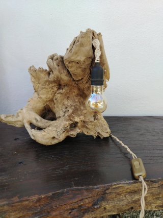 Lampada Radice Unica