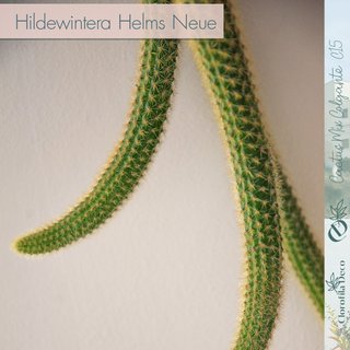 Hildewintera Helms Neue Ø 15 cm