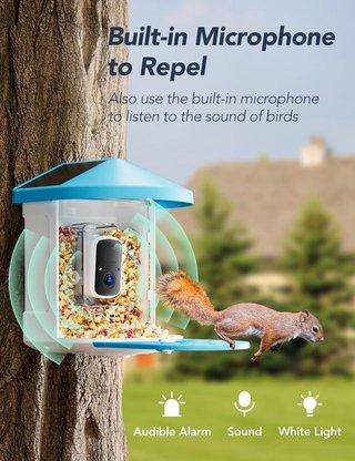 Comedero de Pájaros con Cámara HD