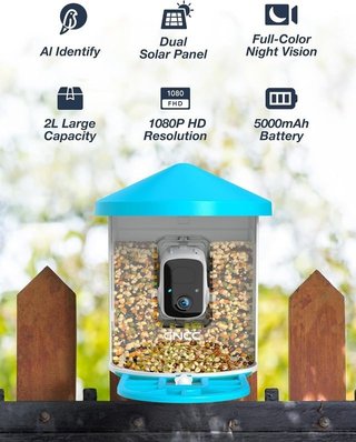 Comedero de Pájaros con Cámara HD