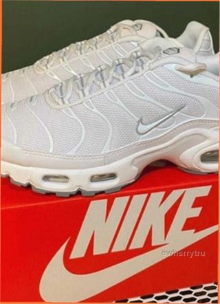 Nike TN Air Max Plus Blancas Talla 38.5