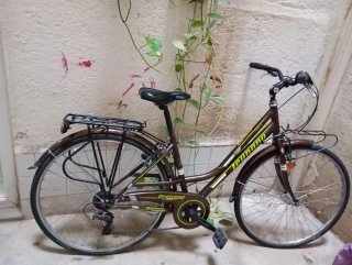 Bicicleta Legnano Paseo Versilia Grey