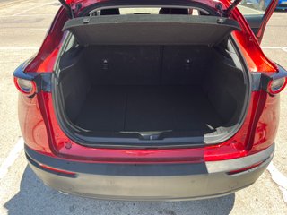 Mazda CX-30 SKYACTIV-X ZENITH SAFETY (ECO-DGT)
