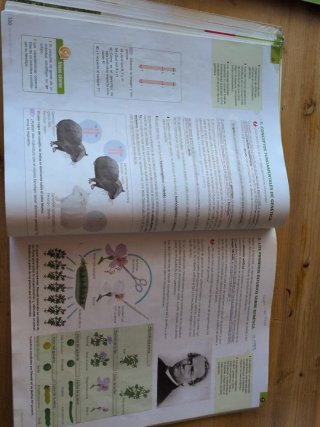 Biología y geología: v. [2]. La evolución de la...