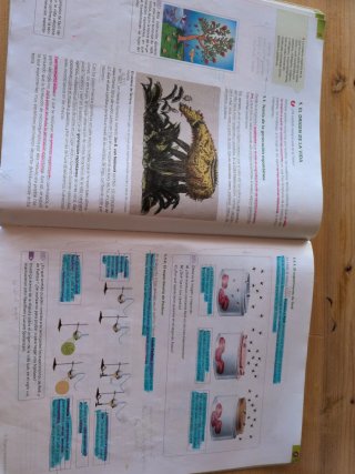 Biología y geología: v. [2]. La evolución de la...