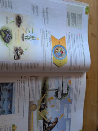 Biología y geología: v. [3]. Ecología y medio a...