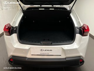 Lexus UX250H PREMIUM 2022 REF 8322