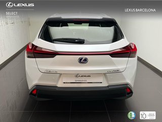 Lexus UX250H PREMIUM 2022 REF 8322