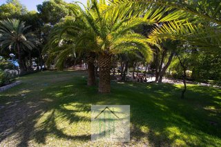 Piso en alquiler en Albufereta en Alicante