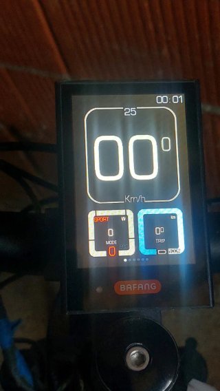 Bicicleta Eléctrica Bafang 1000W M625