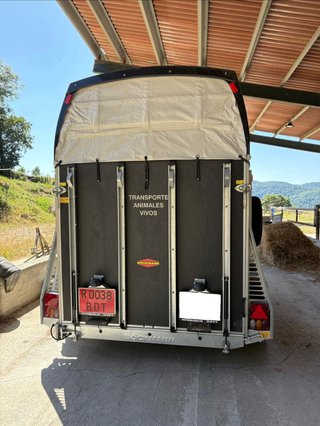 Remolque caballos Böckmann Duo Espirit