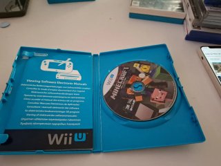 Minecraft Wii U Edition
