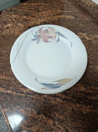 Vajilla de porcelana para 6 personas