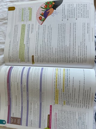 Proyecto Astarté. Lengua castellana y Literatur...
