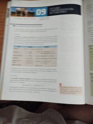 Matemáticas, Bachillerato 1, Aplicadas a las Ci...
