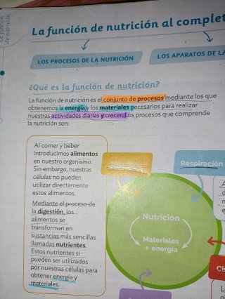 Conocimiento del Medio, 6 Primaria. TRIMESTRE 1