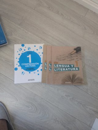 Lengua y literatura 1 ESO