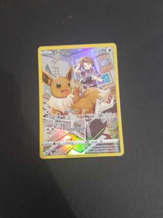 Lotto carte pokemon