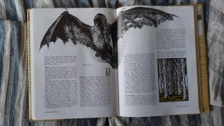 Tolkien enciclopedia ilustrada
