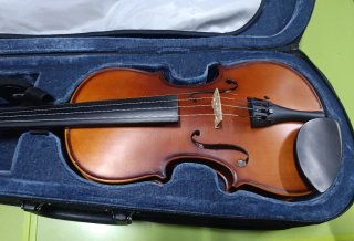 Violín Carlo Giordano con funda