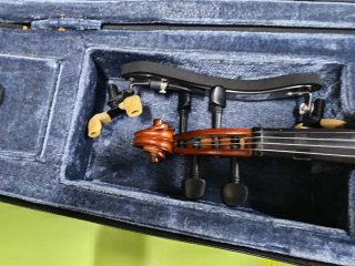 Violín Carlo Giordano con funda