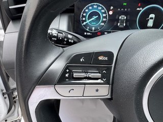 Hyundai Tucson 1.6 CRDI 48V Maxx 4x4 DCT 100 kW (136 CV)