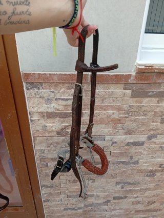 Cabezada Hackamore Bitless