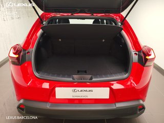 Lexus UX300H UX+ 2024 REF 5349