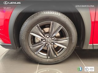 Lexus UX300H UX+ 2024 REF 5349