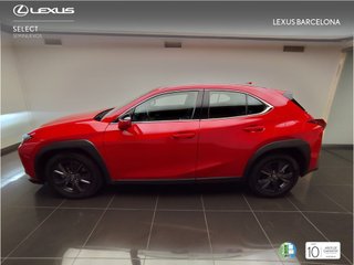 Lexus UX300H UX+ 2024 REF 5349