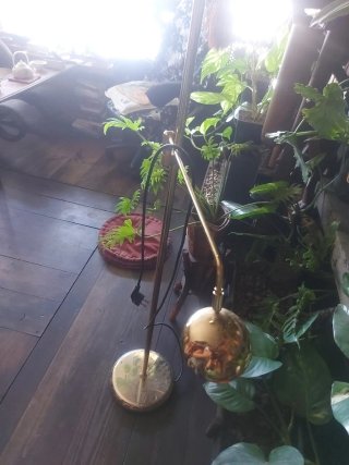 Lámpara dorada doble halógena con regulador