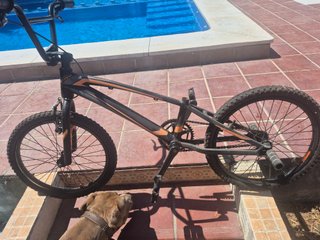 Bicicleta BMX Monty Raced 139