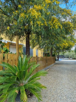 Casa de campo