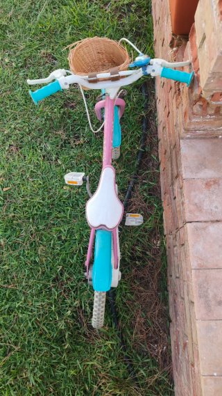 Bicicleta infantil rosa y azul