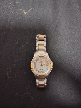 Reloj Citizen Eco-Drive WR100 Oro y Plata